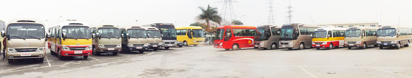  Hyundai Tracomeco Coaches & Buses 